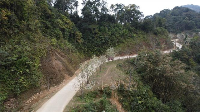Chiêm ngưỡng con đường hoa lê dài nhất Việt Nam - Hình 2 Chiem nguong con duong hoa le dai nhat Viet Nam-Hinh-2