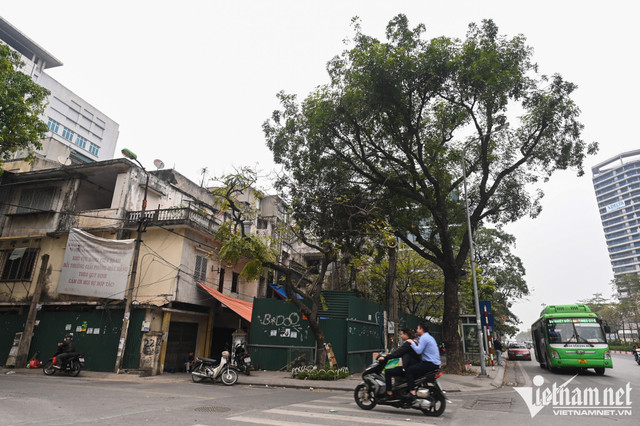Khu tập thể tan hoang nhiều năm trên 'đất vàng' Hà Nội - Hình 10 Khu tap the tan hoang nhieu nam tren 'dat vang' Ha Noi-Hinh-10
