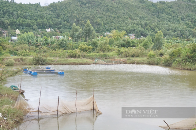 Anh nông dân Đà Nẵng nuôi “thập cẩm” lãi hàng trăm triệu/năm? - Hình 2 Anh nong dan Da Nang nuoi “thap cam” lai hang tram trieu/nam?-Hinh-2