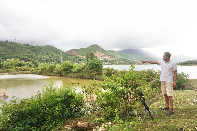 Anh nông dân Đà Nẵng nuôi “thập cẩm” lãi hàng trăm triệu/năm? - Hình 7 Anh nong dan Da Nang nuoi “thap cam” lai hang tram trieu/nam?-Hinh-7