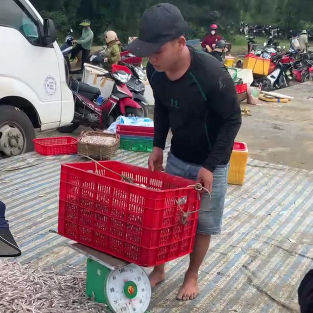 Ngư dân trúng hàng tấn cá nhỏ xíu, thơm thịt, ít xương - Hình 2 Ngu dan trung hang tan ca nho xiu, thom thit, it xuong-Hinh-2