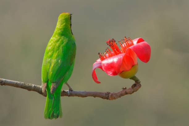 Ai sinh ngày Âm lịch này hưởng phước lộc, thưởng Tết cao ngất - Hình 2 Ai sinh ngay Am lich nay huong phuoc loc, thuong Tet cao ngat-Hinh-2