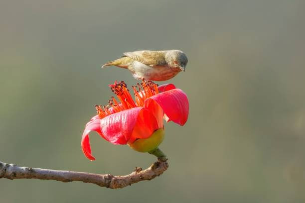 Ai sinh ngày Âm lịch này hưởng phước lộc, thưởng Tết cao ngất - Hình 3 Ai sinh ngay Am lich nay huong phuoc loc, thuong Tet cao ngat-Hinh-3