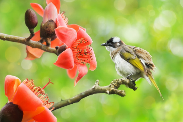 Ai sinh ngày Âm lịch này hưởng phước lộc, thưởng Tết cao ngất - Hình 4 Ai sinh ngay Am lich nay huong phuoc loc, thuong Tet cao ngat-Hinh-4