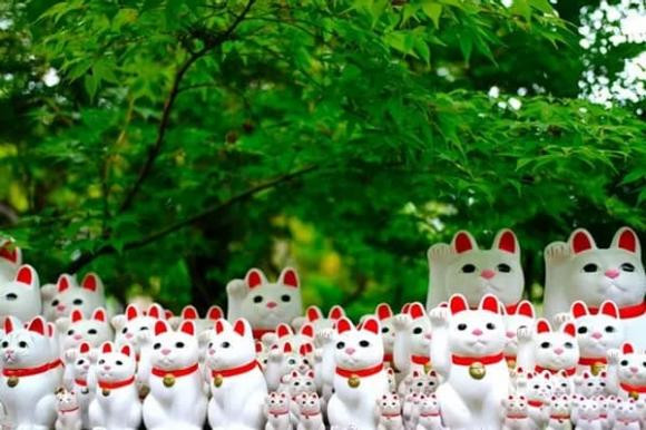 Mèo Thần Tài có ý nghĩa gì trong văn hóa của người Nhật Bản? Meo Than Tai co y nghia gi trong van hoa cua nguoi Nhat Ban?