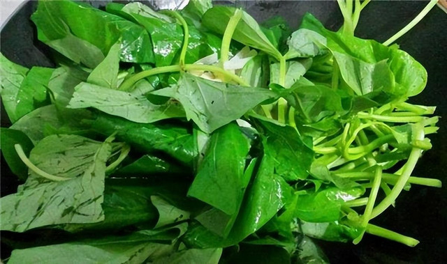 Loại rau bổ dưỡng hơn bí ngô, kiểm soát đường, làm bánh cực ngon - Hình 4 Loai rau bo duong hon bi ngo, kiem soat duong, lam banh cuc ngon-Hinh-4