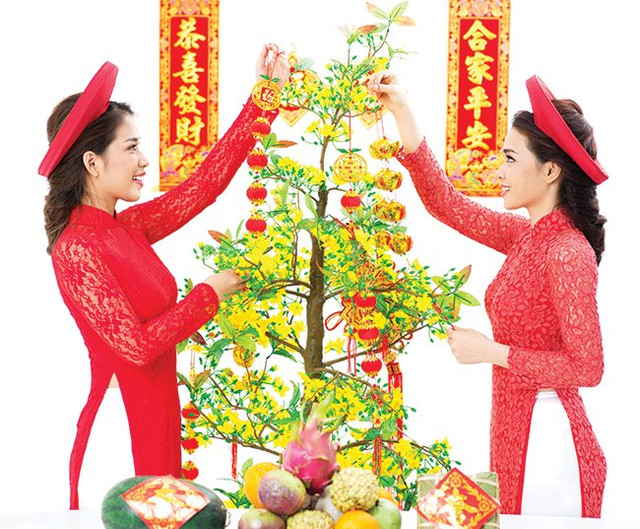 8 loài cây may mắn đặt trong nhà dịp Tết hút tài hút lộc - Hình 2 8 loai cay may man dat trong nha dip Tet hut tai hut loc-Hinh-2