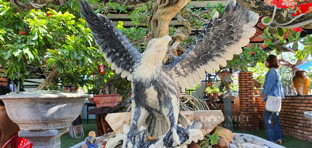 Xuất hiện 40 cây cảnh bonsai dáng độc của tỉnh Khánh Hòa Xuat hien 40 cay canh bonsai dang doc cua tinh Khanh Hoa