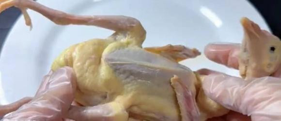 5 bộ phận này của chim bồ câu chứa nhiều độc tố - Hình 2 5 bo phan nay cua chim bo cau chua nhieu doc to-Hinh-2