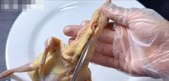 5 bộ phận này của chim bồ câu chứa nhiều độc tố - Hình 7 5 bo phan nay cua chim bo cau chua nhieu doc to-Hinh-7