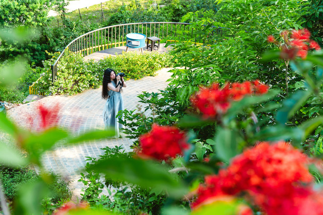 Khu vườn rộng 3.000m2, hoa nở rực rỡ ở ngoại thành Hà Nội - Hình 3 Khu vuon rong 3.000m2, hoa no ruc ro o ngoai thanh Ha Noi-Hinh-3