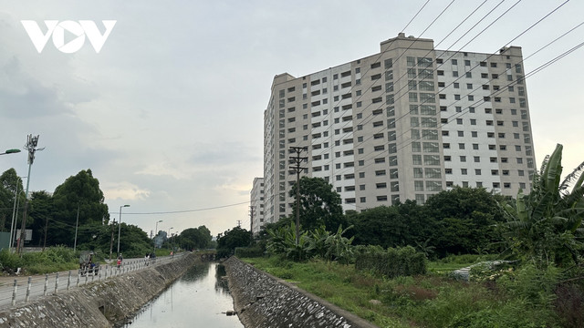 Cận cảnh nhà tái định cư ở Hà Nội không người ở, cỏ mọc um tùm Can canh nha tai dinh cu o Ha Noi khong nguoi o, co moc um tum