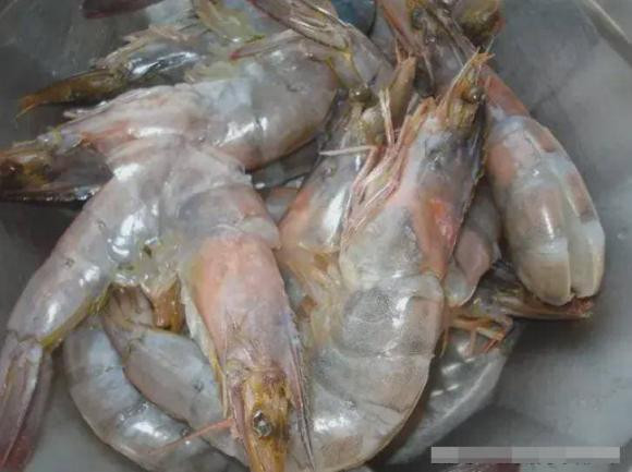 Cố gắng tránh 3 loại này khi mua tôm, lãng phí tiền bạc Co gang tranh 3 loai nay khi mua tom, lang phi tien bac