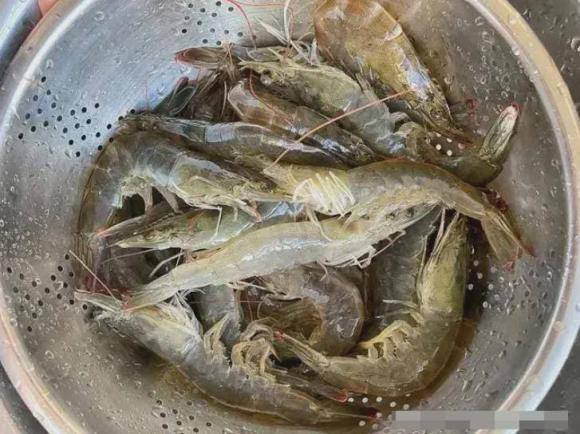 Cố gắng tránh 3 loại này khi mua tôm, lãng phí tiền bạc - Hình 2 Co gang tranh 3 loai nay khi mua tom, lang phi tien bac-Hinh-2