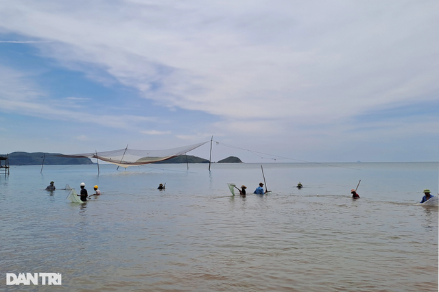 Trúng “lộc biển”, người dân vớt dọc bờ cũng kiếm tiền triệu mỗi ngày Trung “loc bien”, nguoi dan vot doc bo cung kiem tien trieu moi ngay