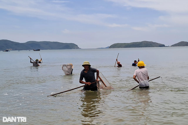 Trúng “lộc biển”, người dân vớt dọc bờ cũng kiếm tiền triệu mỗi ngày - Hình 2 Trung “loc bien”, nguoi dan vot doc bo cung kiem tien trieu moi ngay-Hinh-2