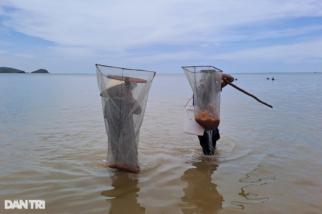 Trúng “lộc biển”, người dân vớt dọc bờ cũng kiếm tiền triệu mỗi ngày - Hình 3 Trung “loc bien”, nguoi dan vot doc bo cung kiem tien trieu moi ngay-Hinh-3