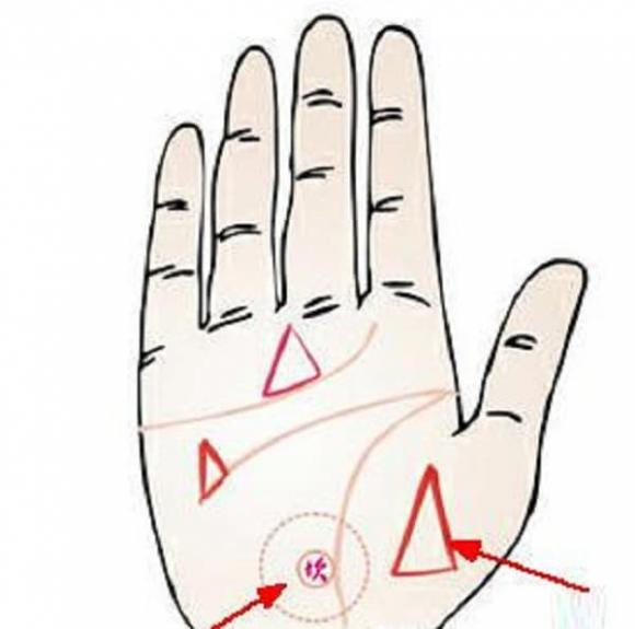Ai có hình tam giác ở tay sẽ giàu tới 99 tuổi? - Hình 5 Ai co hinh tam giac o tay se giau toi 99 tuoi?-Hinh-5