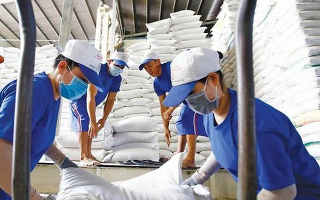Vì sao gạo Việt "mất ngôi" giá cao nhất thế giới? Vi sao gao Viet
