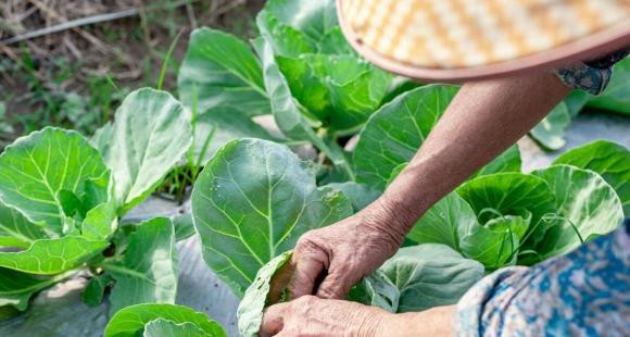 5 lời khuyên để hiếu kính cha mẹ già, giữ hạnh phúc cho cha mẹ - Hình 3 5 loi khuyen de hieu kinh cha me gia, giu hanh phuc cho cha me-Hinh-3