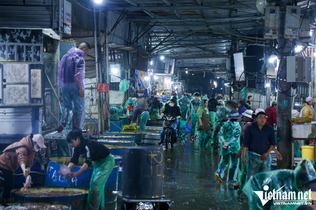 Gà cúng ngậm hoa hồng hơn 500.000 đồng/con vẫn hút khách - Hình 3 Ga cung ngam hoa hong hon 500.000 dong/con van hut khach-Hinh-3