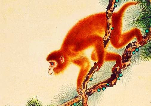 2 năm tới, 4 con giáp có tâm vững vàng ắt giàu sang ập đến - Hình 4 2 nam toi, 4 con giap co tam vung vang at giau sang ap den-Hinh-4