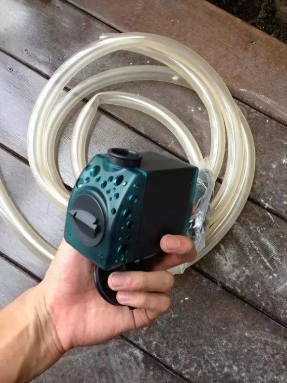 Xây hồ cá coi trên ban công chi phí chưa đến 2 triệu đồng - Hình 9 Xay ho ca coi tren ban cong chi phi chua den 2 trieu dong-Hinh-9