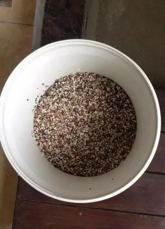Xây hồ cá coi trên ban công chi phí chưa đến 2 triệu đồng - Hình 13 Xay ho ca coi tren ban cong chi phi chua den 2 trieu dong-Hinh-13
