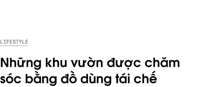 Tự làm vườn bằng đồ dùng tái chế trong giãn cách - Hình 2 Tu lam vuon bang do dung tai che trong gian cach-Hinh-2