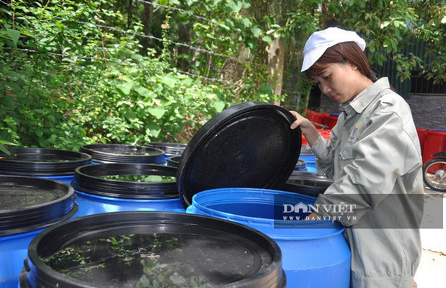 Loại vỏ trái cây bỏ đi, bỗng thành hàng giá trị thu về tiền tỷ - Hình 3 Loai vo trai cay bo di, bong thanh hang gia tri thu ve tien ty-Hinh-3