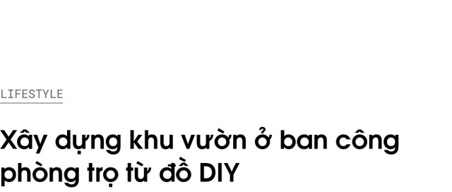 Cô gái xây dựng khu vườn ở ban công từ đồ đạc tự làm - Hình 2 Co gai xay dung khu vuon o ban cong tu do dac tu lam-Hinh-2