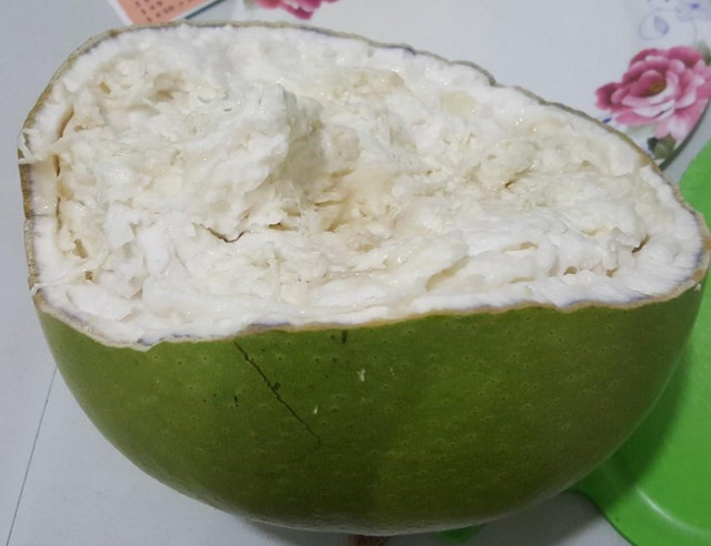 Loại quả lạ to như bưởi nhưng vỏ cứng giống dừa: Dùng trị nhiều bệnh - Hình 5 Loai qua la to nhu buoi nhung vo cung giong dua: Dung tri nhieu benh-Hinh-5