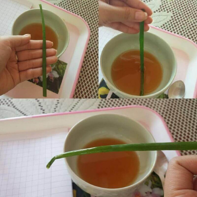 Những tuyệt chiêu giúp bạn kiểm tra mật ong hàng "chuẩn" - Hình 3 Nhung tuyet chieu giup ban kiem tra mat ong hang