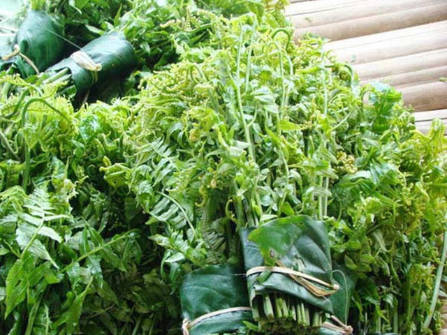 "Sốt xình xịch" mua rau dớn vài trăm nghìn/kg vì đồn có tác dụng chữa bệnh - Hình 5