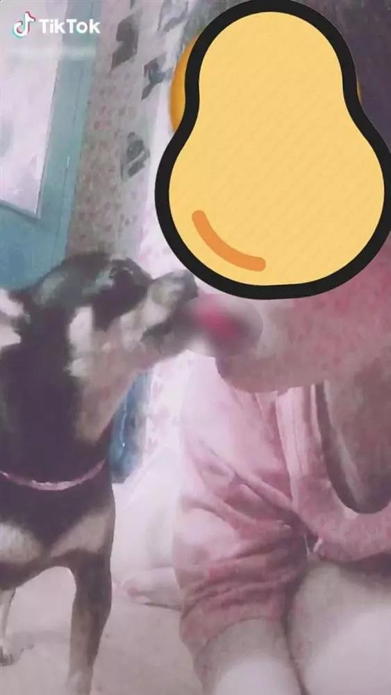 Hot Tiktoker Hải Ninh làm clip ăn gián sống khiến dân mạng rùng mình - Hình 4 Hot Tiktoker Hai Ninh lam clip an gian song khien dan mang rung minh-Hinh-4