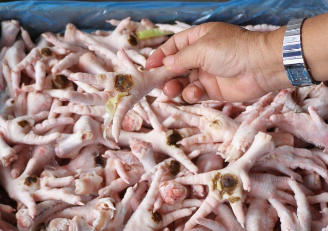Chân gà rẻ mấy cũng không nên mua nếu bạn phát hiện điều này - Hình 5 Chan ga re may cung khong nen mua neu ban phat hien dieu nay-Hinh-5