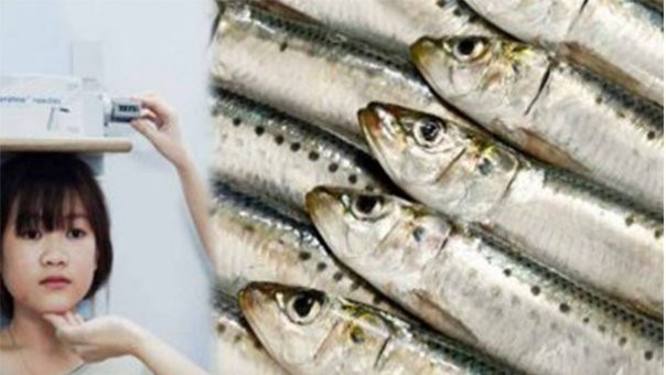 2 loại cá cực giàu canxi có thể thay thế 3 ly sữa một ngày 2 loai ca cuc giau canxi co the thay the 3 ly sua mot ngay