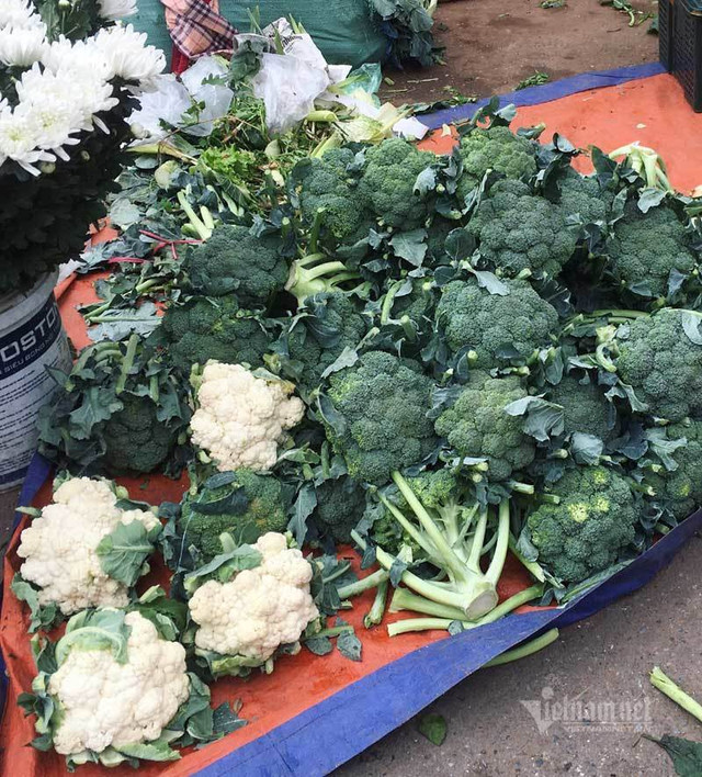Giá rau xanh giảm một nửa, đổ đống không một khách mua - Hình 3 Gia rau xanh giam mot nua, do dong khong mot khach mua-Hinh-3