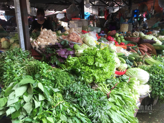Giá rau xanh giảm một nửa, đổ đống không một khách mua - Hình 5 Gia rau xanh giam mot nua, do dong khong mot khach mua-Hinh-5