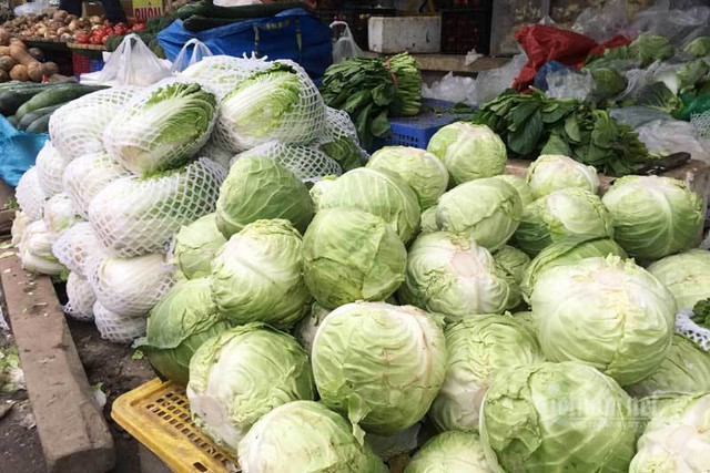 Giá rau xanh giảm một nửa, đổ đống không một khách mua - Hình 2 Gia rau xanh giam mot nua, do dong khong mot khach mua-Hinh-2
