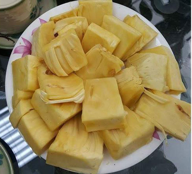 Trồng mít không hạt, bác nông dân Cần Thơ thu tiền tỷ - Hình 5 Trong mit khong hat, bac nong dan Can Tho thu tien ty-Hinh-5