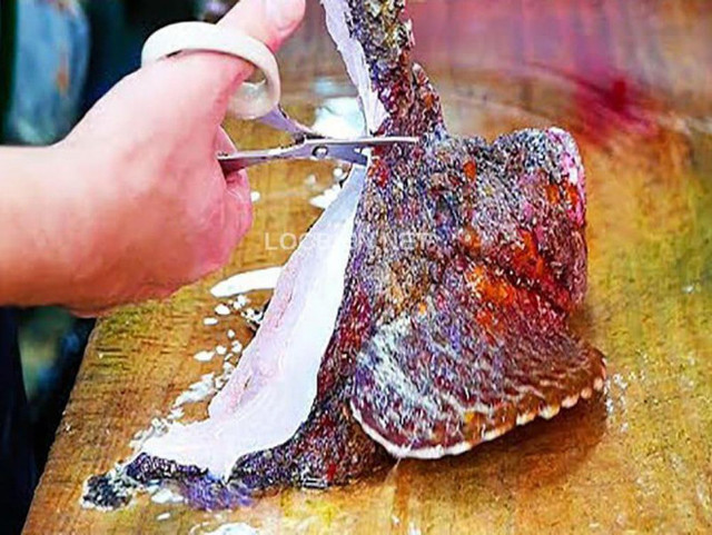 Con cá trước làm thức ăn cho gà, vịt giờ trở thành món khoái khẩu - Hình 5 Con ca truoc lam thuc an cho ga, vit gio tro thanh mon khoai khau-Hinh-5