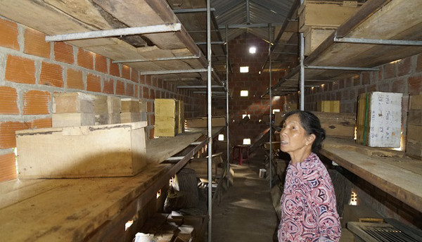 Rước loài ong lạ về nhà nuôi chơi, chàng trai bỗng có thu nhập khủng - Hình 2 Ruoc loai ong la ve nha nuoi choi, chang trai bong co thu nhap khung-Hinh-2