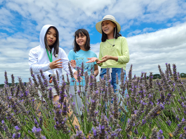 Thần đồng Việt tại New Zealand có thể phải về nước vì "học quá giỏi" - Hình 5 Than dong Viet tai New Zealand co the phai ve nuoc vi