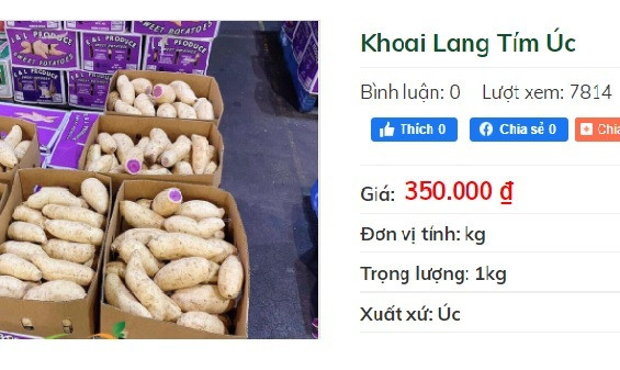 Cua biển mất giá, khoai lang tím bất ngờ đắt đỏ - Hình 4 Cua bien mat gia, khoai lang tim bat ngo dat do-Hinh-4