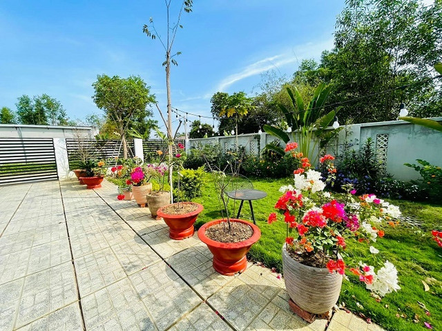 Mẫu nhà vườn tuyệt đẹp của chàng trai 25 tuổi “bỏ phố, về quê” - Hình 10 Mau nha vuon tuyet dep cua chang trai 25 tuoi “bo pho, ve que”-Hinh-10