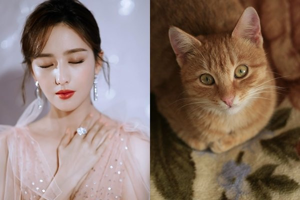 3 con giáp có phúc tinh chiếu mệnh, nửa cuối tháng 5 rực rỡ tiền tài - Hình 2 3 con giap co phuc tinh chieu menh, nua cuoi thang 5 ruc ro tien tai-Hinh-2