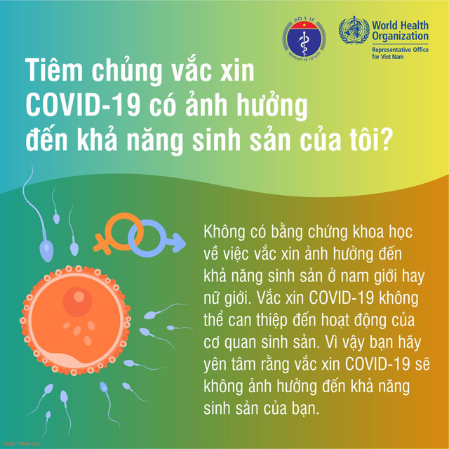 Tiêm vắc xin phòng Covid-19 có ảnh hưởng đến khả năng sinh sản? Tiem vac xin phong Covid-19 co anh huong den kha nang sinh san?