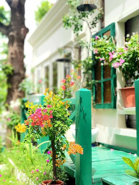Ngôi nhà bỏ hoang giữa Hà Nội biến hình gây chú ý - Hình 7 Ngoi nha bo hoang giua Ha Noi bien hinh gay chu y-Hinh-7