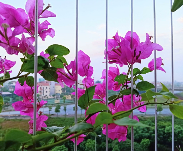Chê vợ tẻ nhạt, chồng kiên quyết ly hôn để đến với tình mới Che vo te nhat, chong kien quyet ly hon de den voi tinh moi